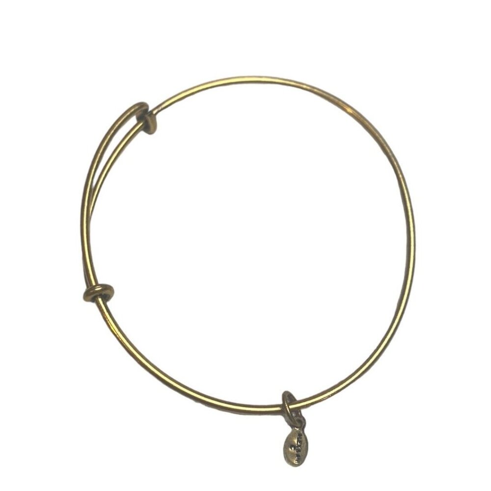 Alex and Ani Goldtone Expandable Bangle Bracelet Smooth
